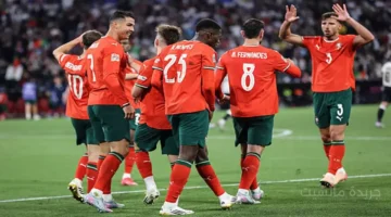 رونالدو يترقب إنجازا تاريخيا والسيناريو الوحيد لتأهل البرتغال إلى كأس العالم 1